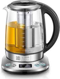 Elektrische Waterkoker met Temperatuurregeling en Thee-Ei