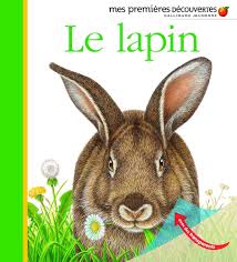Le Lapin - Hugo Pierre: Ontdek het Verhaal